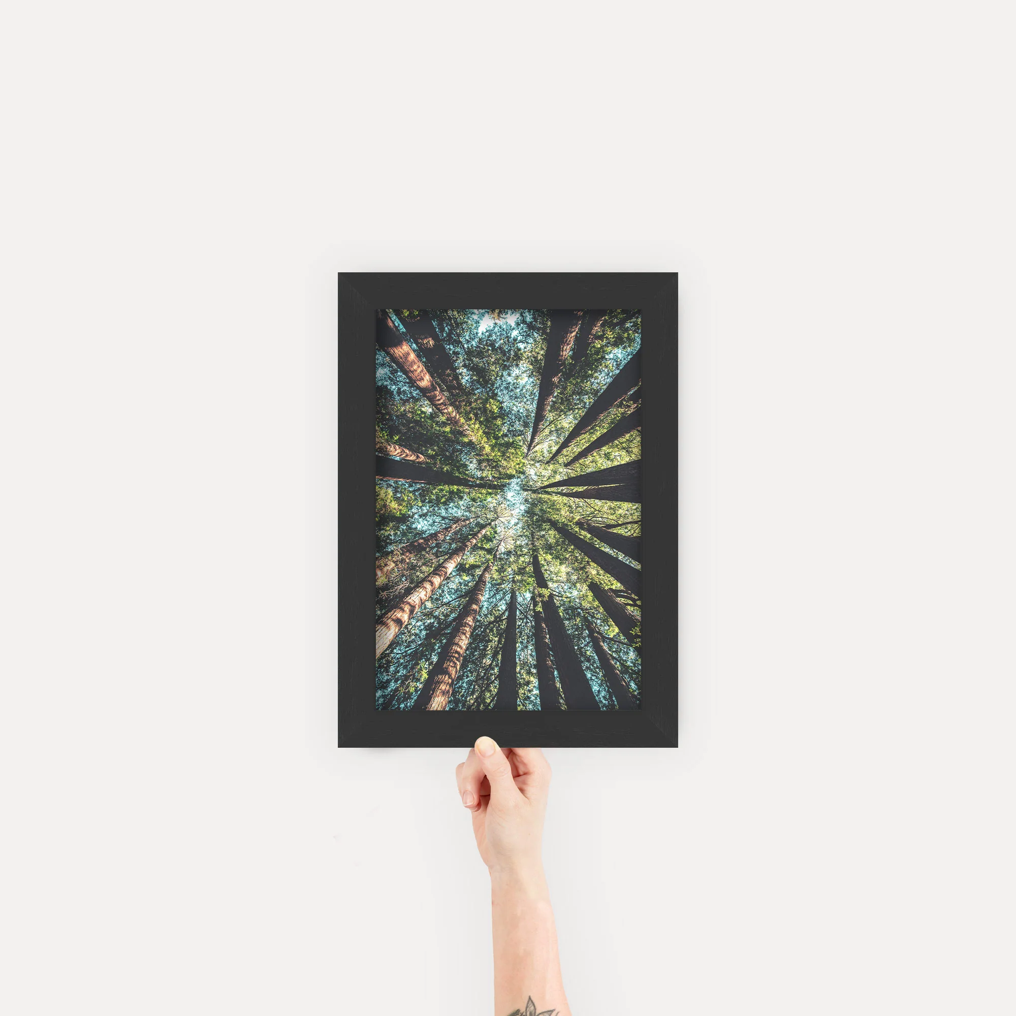 Gallery Frames - Image 31