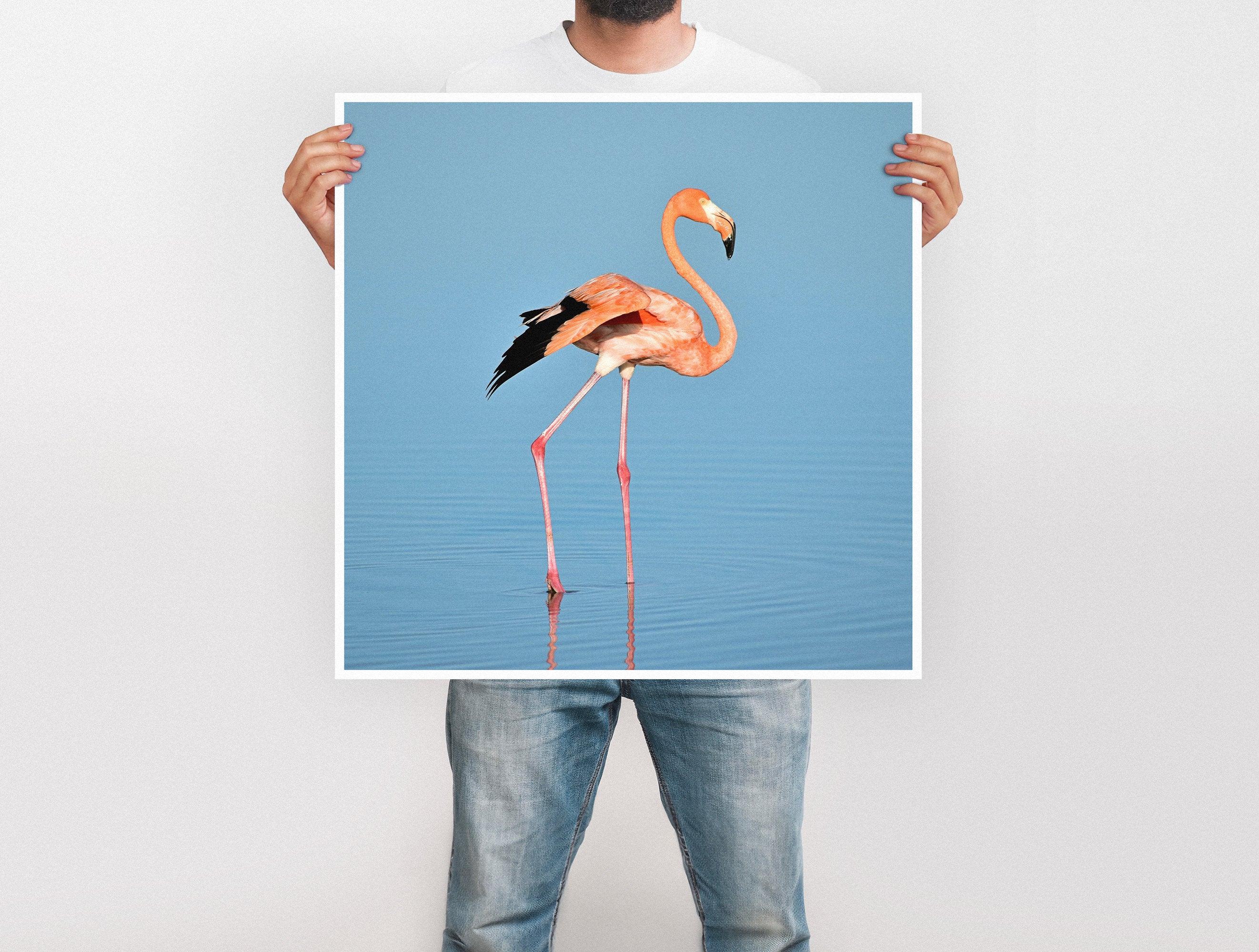 Large Format Prints - Image 23
