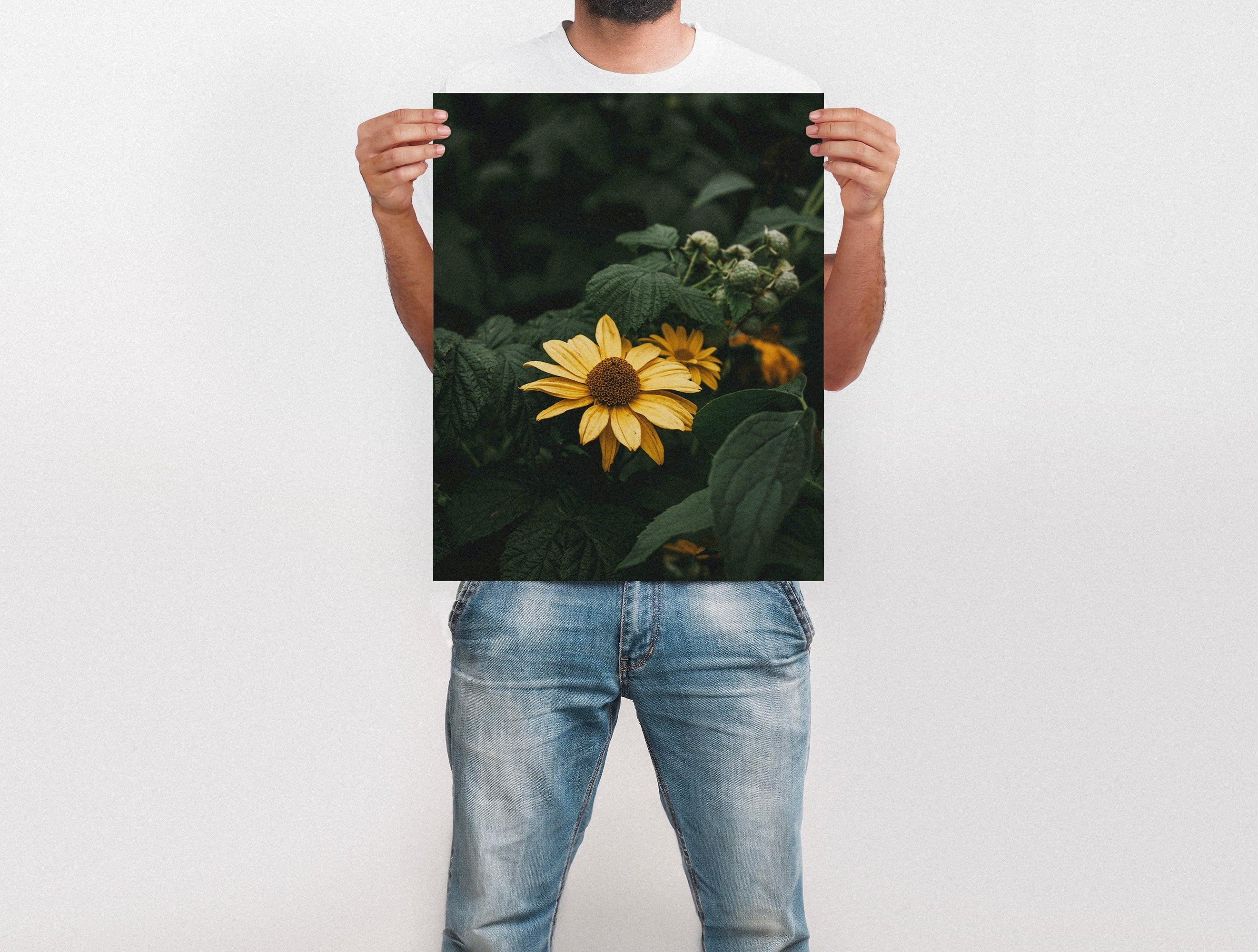 Large Format Prints - Image 33