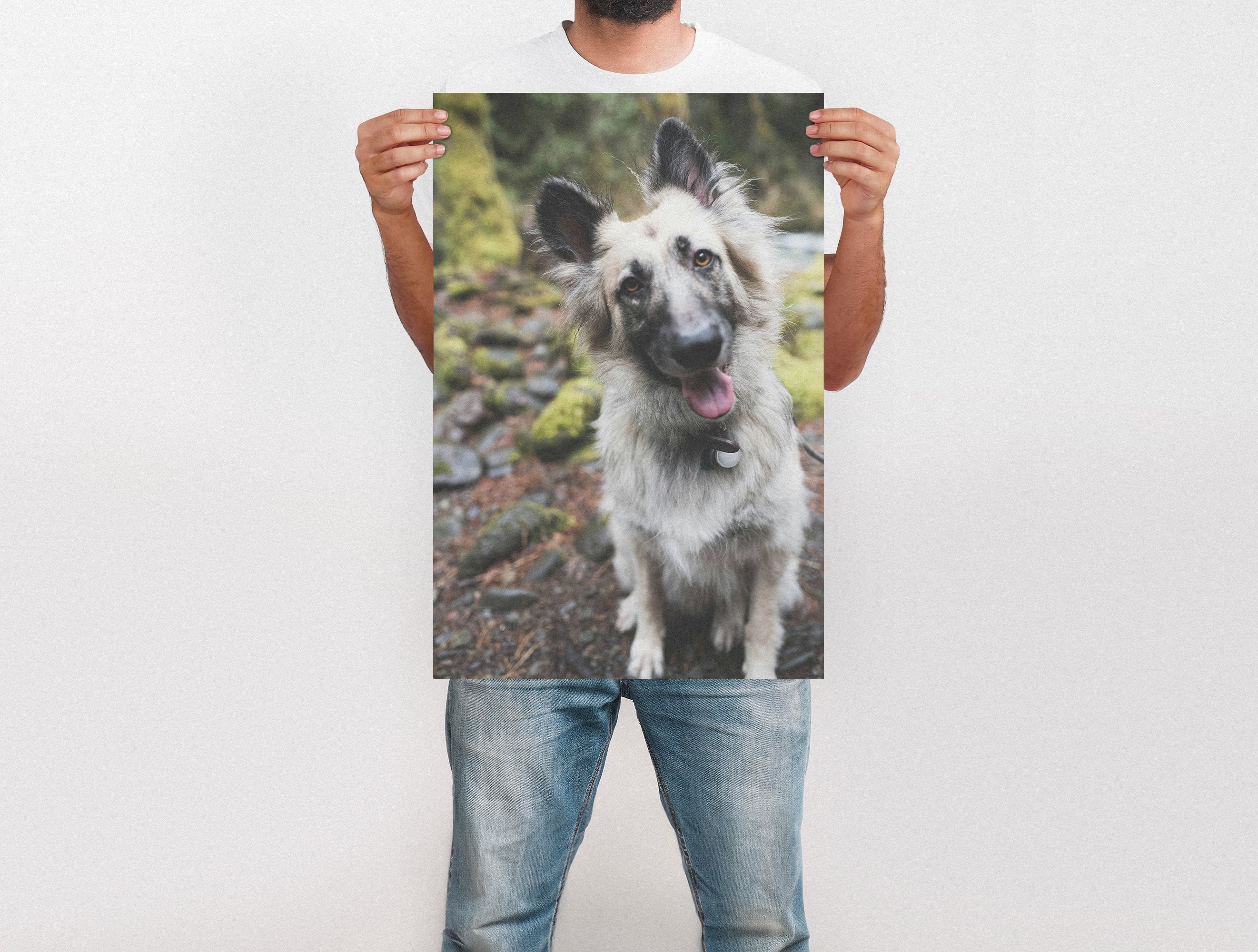 Large Format Prints - Image 34