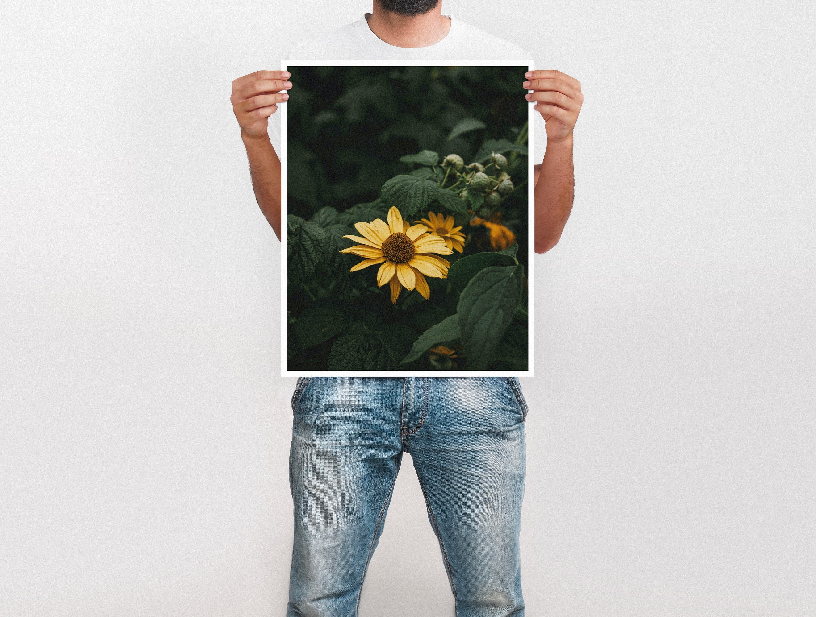 Large Format Prints - Image 49