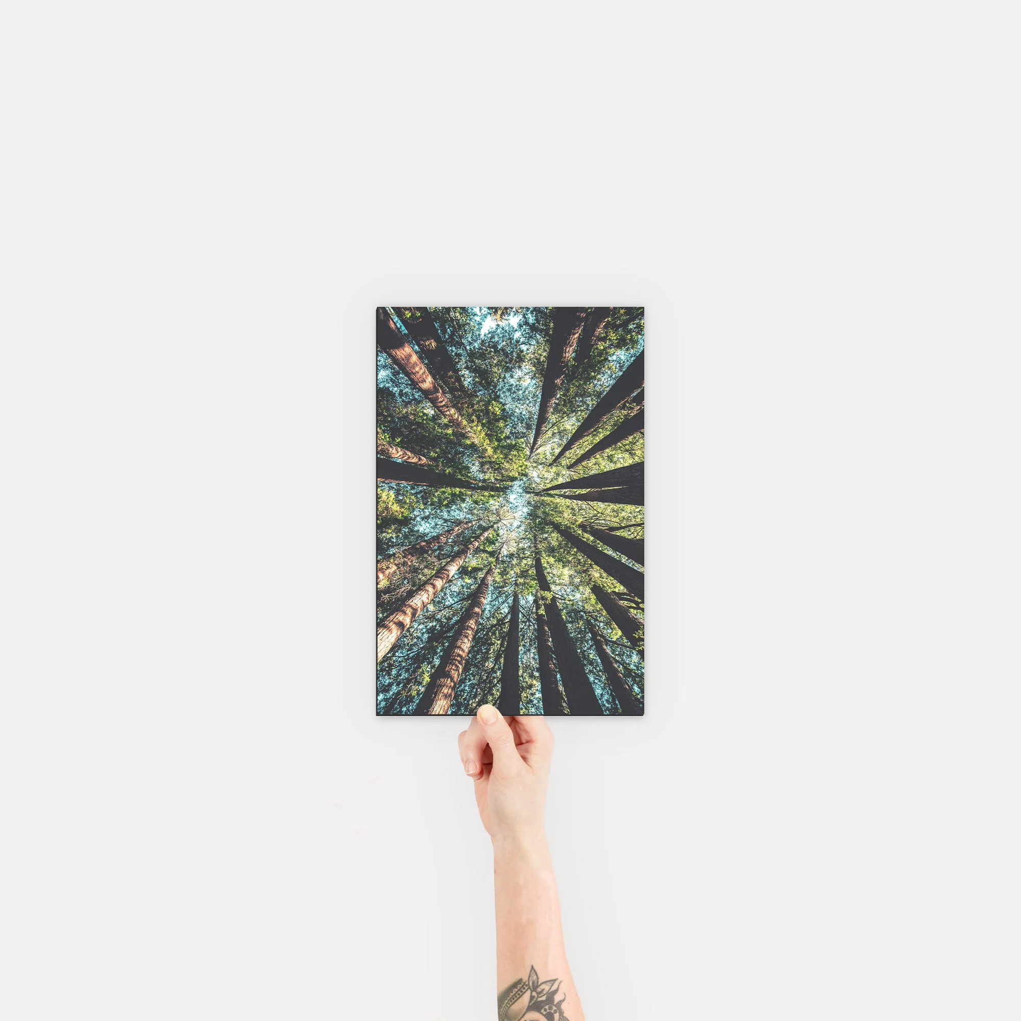 Mounted Prints - Image 11
