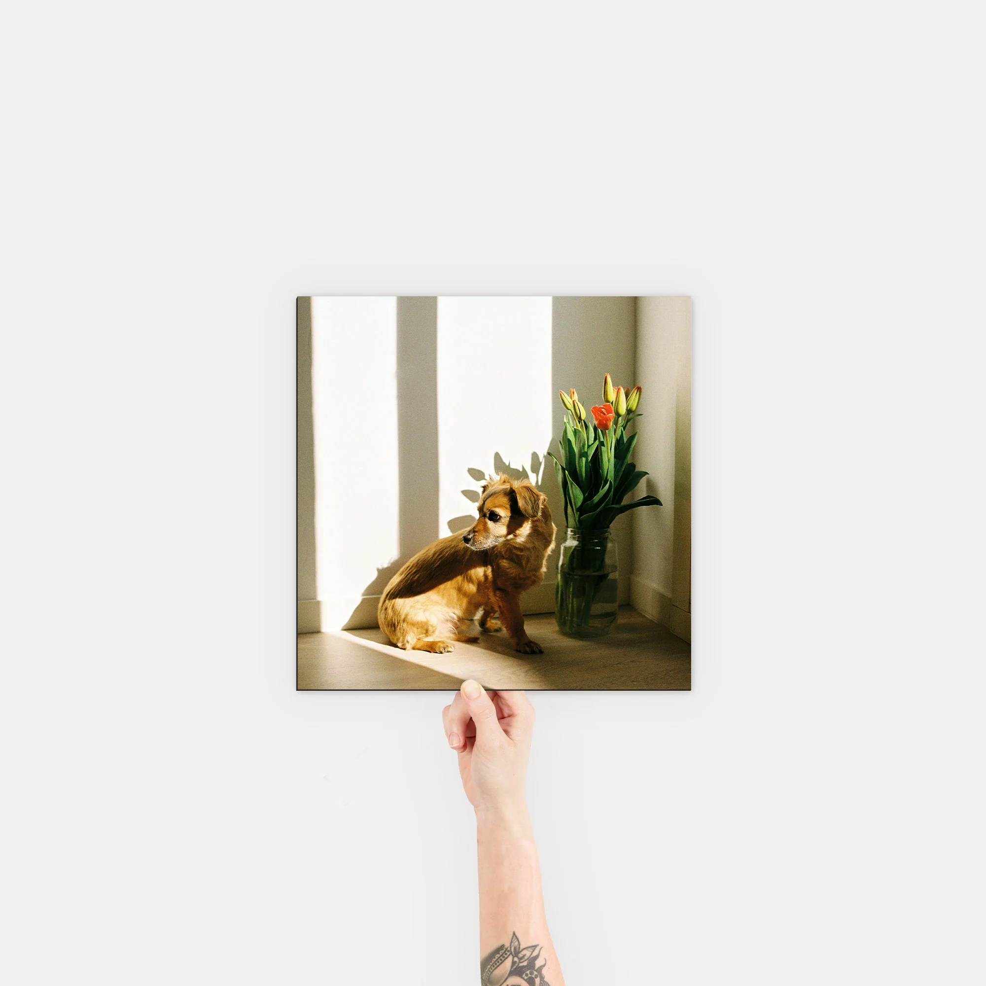Mounted Prints - Image 15