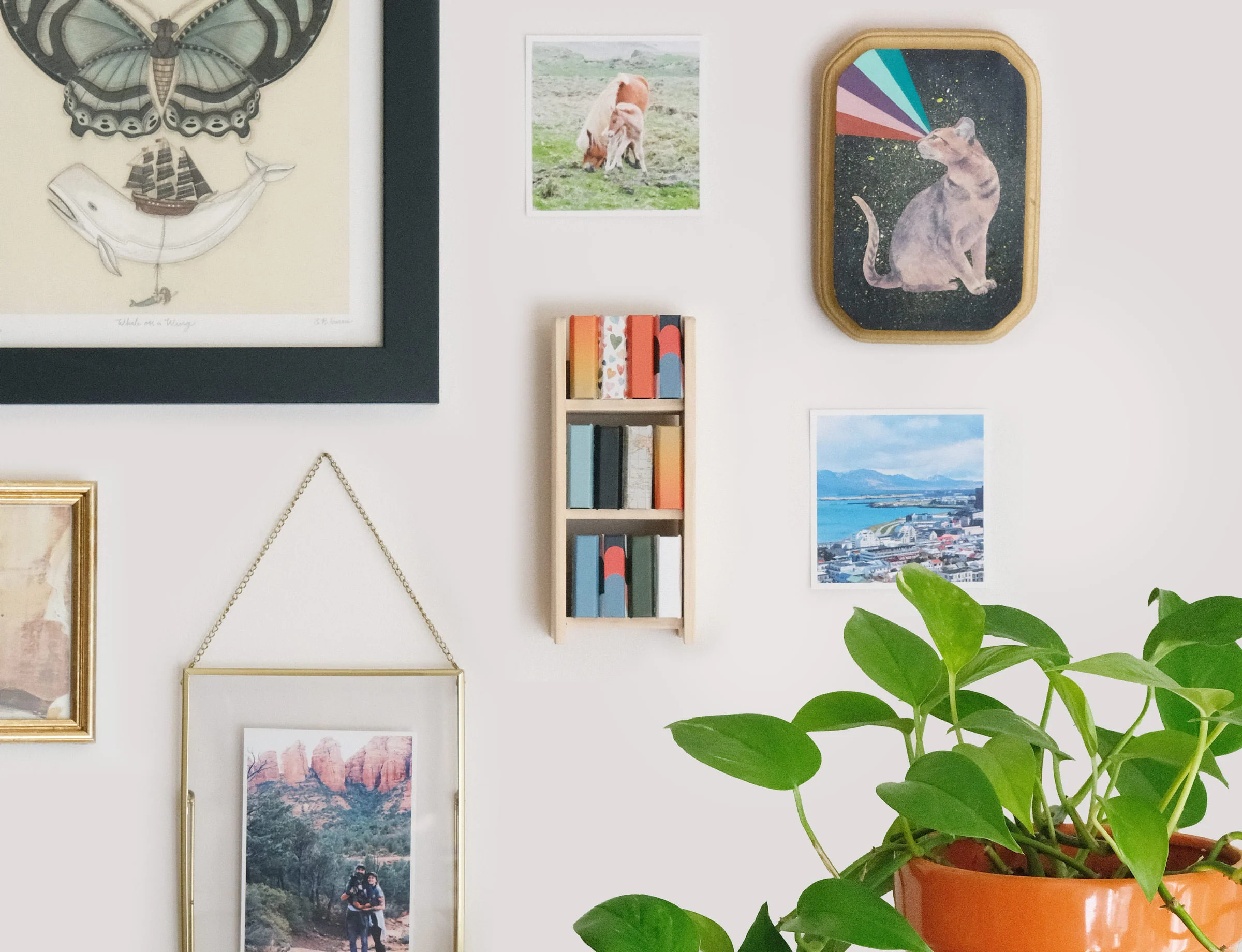 Tiny Bookshelf - Image 5